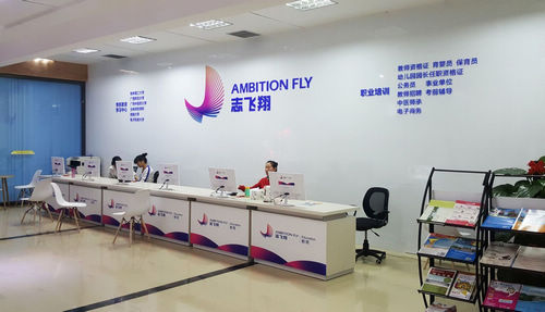 志飞翔教育集团VIS形象系统设计-背景墙设计 志飞翔教育集团VIS形象系统设计-背景墙设计